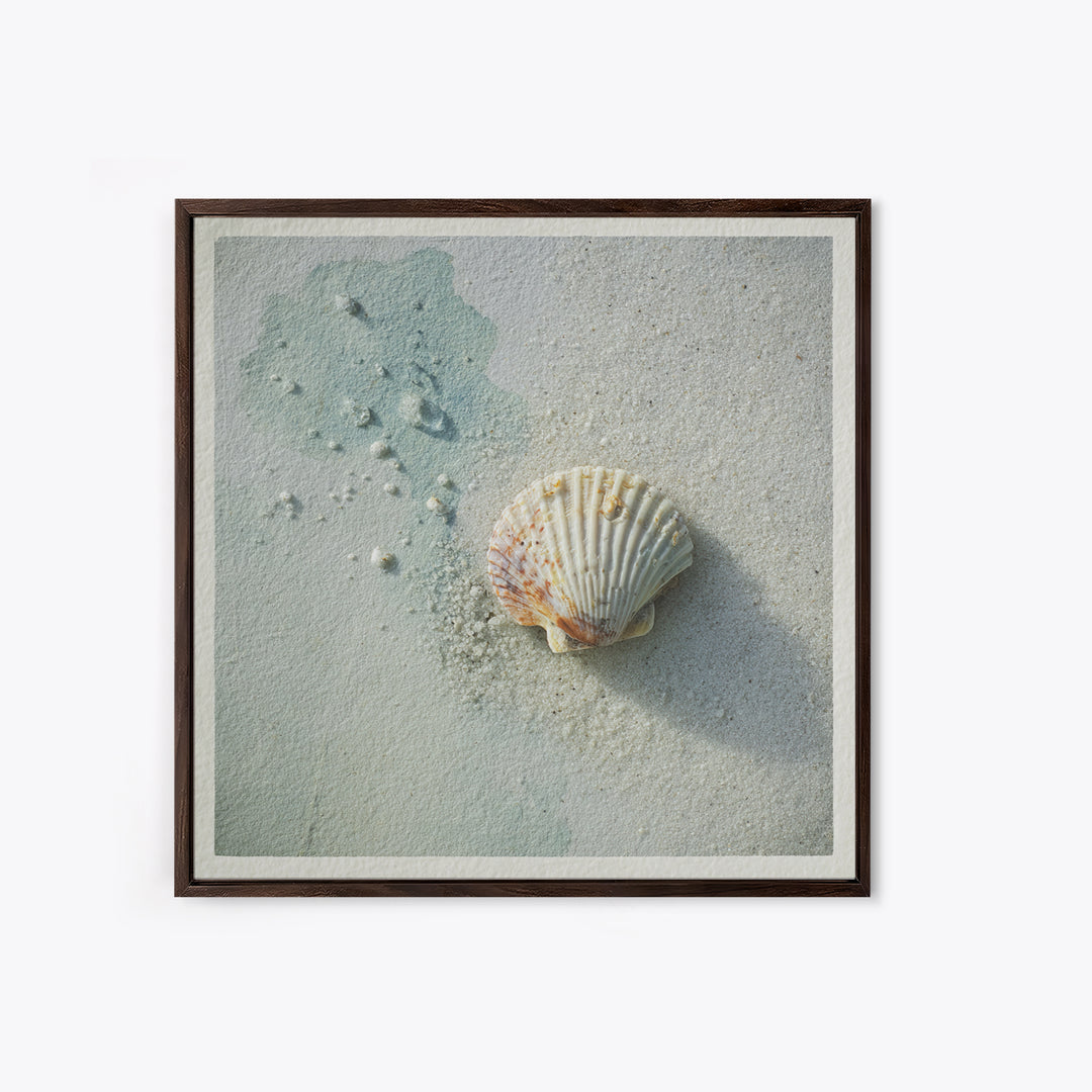 Minimal Seashell Still Life on Pale Sand Canvas Print, Bathroom Art, Gallery Decor, Bathroom Decor, Spa, Minimalist Decor, BAT-1x1-75
