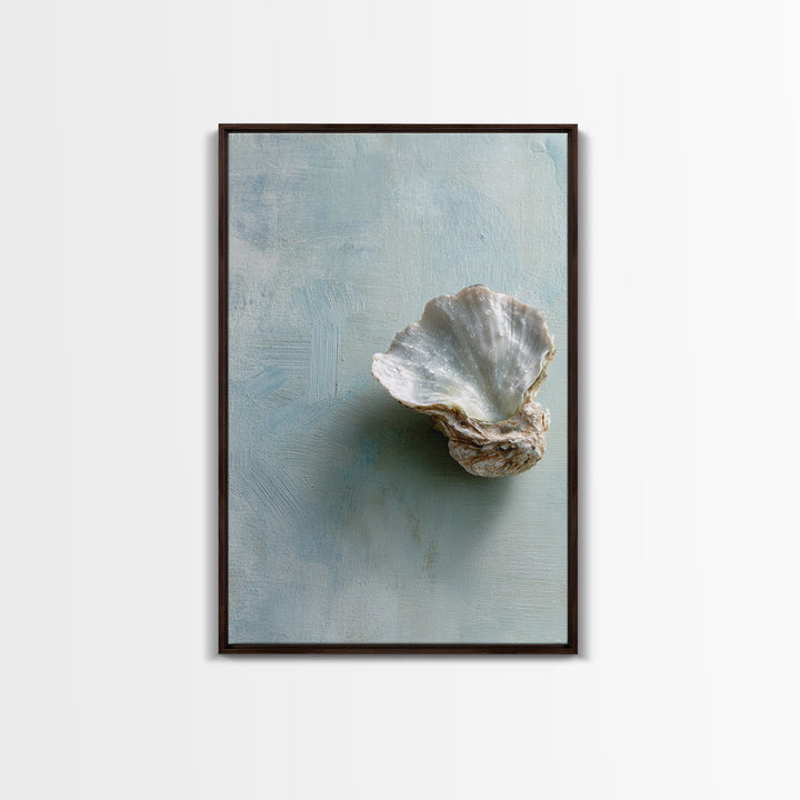 Oyster Shell Study Framed Canvas Print, Bathroom Art, Wall Decor, Bathroom Decor, Fine Art, Spa, Contemporary Art, Wall Art, BAT-2x3-30