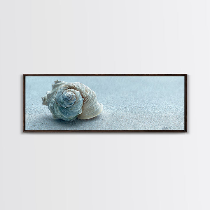 Minimal Seashell Still Life on Pale Sand Canvas Print, Bathroom Art, Bathroom Print, Bathroom Decor, Fine Art, Spa, BAT-3x1-91