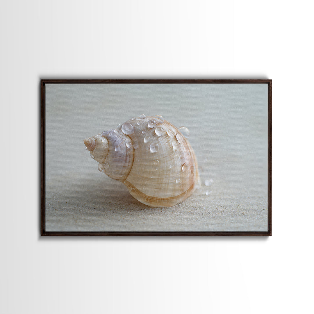 Minimal Seashell Still Life on Pale Sand Framed Canvas Print, Bathroom Art, Boho Decor, Bathroom Decor, Oil Painting, Spa, BAT-3x2-55