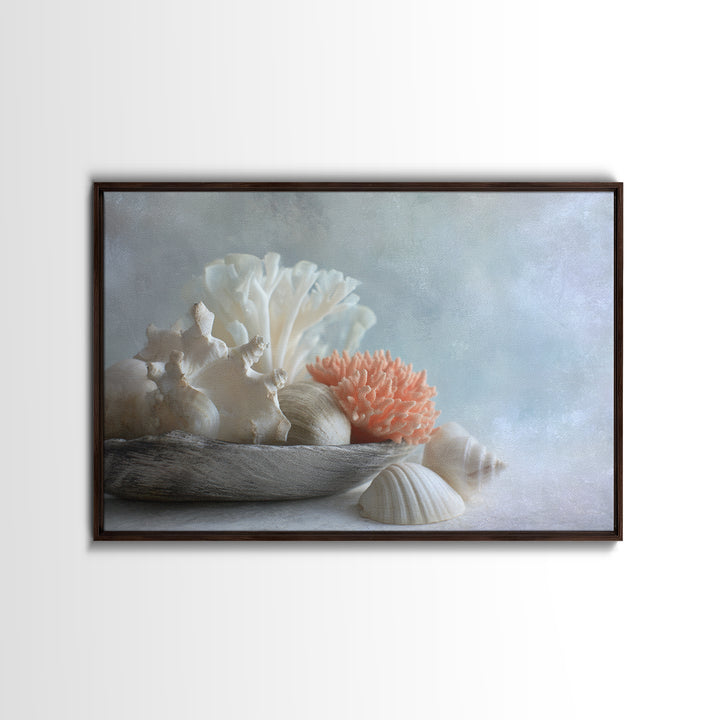 Coral and Shell Arrangement Framed Canvas Print, Bathroom Art, Bathroom Accessories, Bathroom Decor, Spa, Fine Art Print, BAT-3x2-87