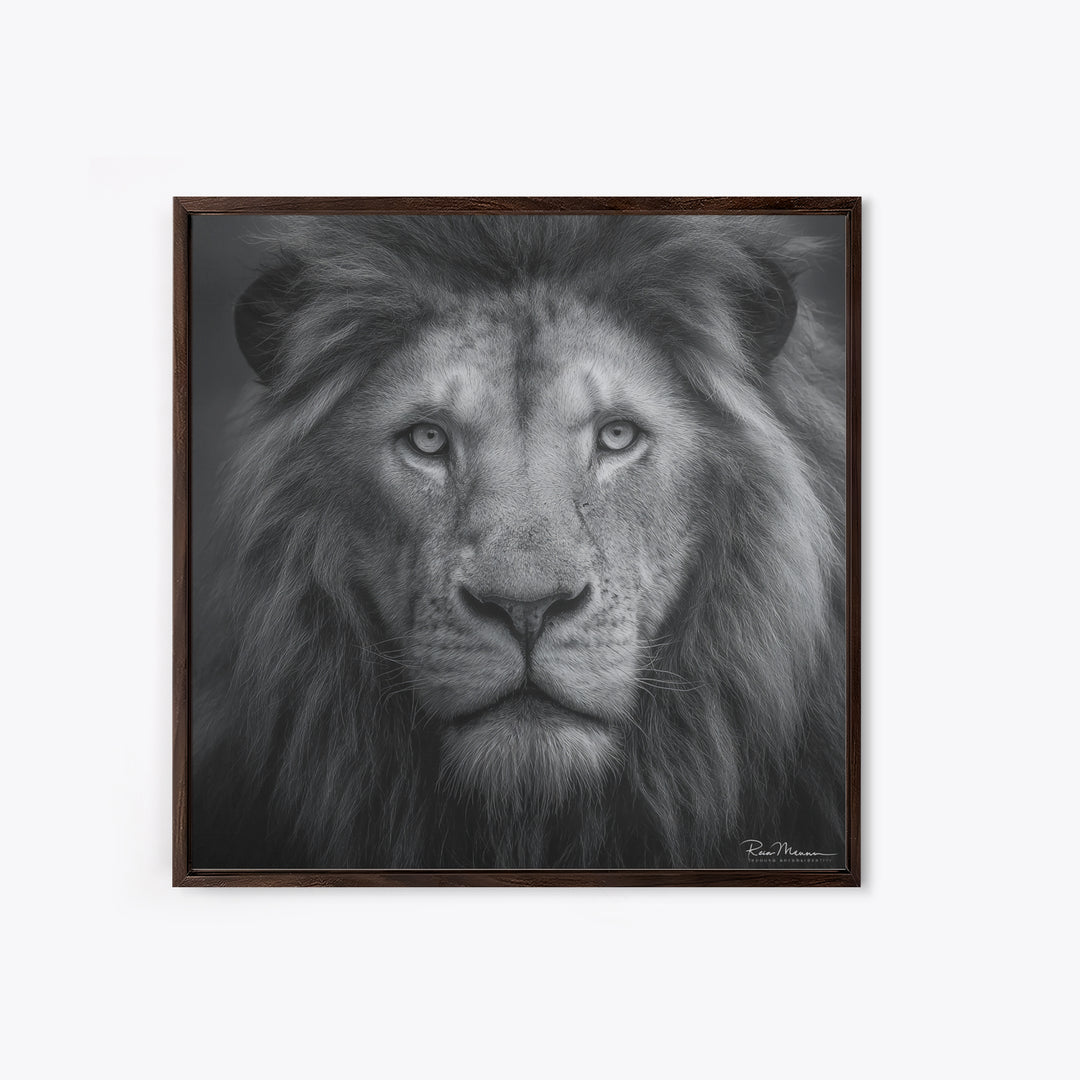 Dramatic Black and White Lion Portrait Canvas Print, Black and White Art, Gallery Decor, Living Room Decor, Monochrome, BAW-1x1-17
