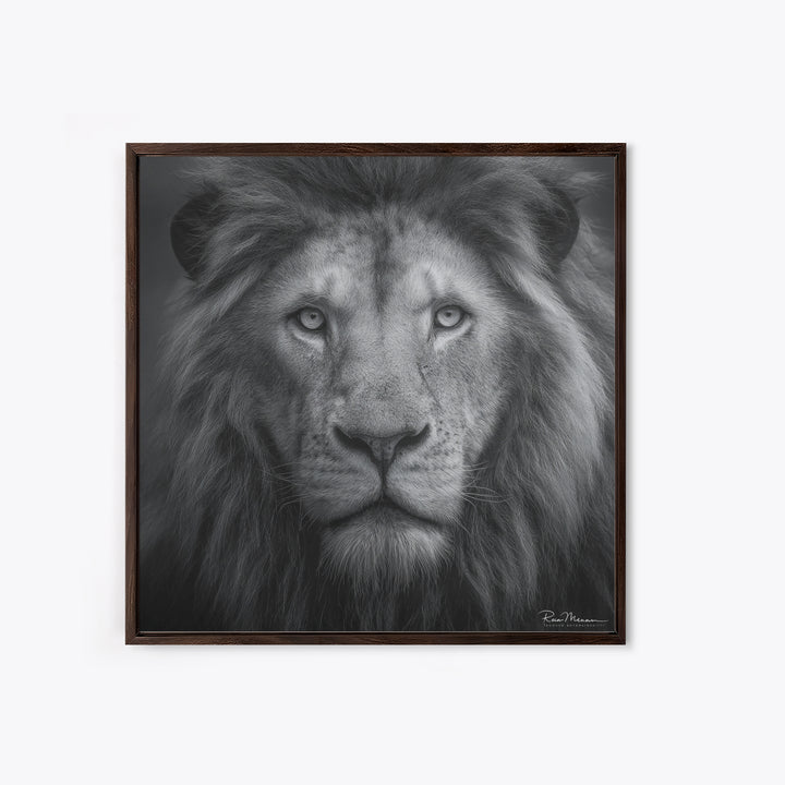 Dramatic Black and White Lion Portrait Canvas Print, Black and White Art, Gallery Decor, Living Room Decor, Monochrome, BAW-1x1-17