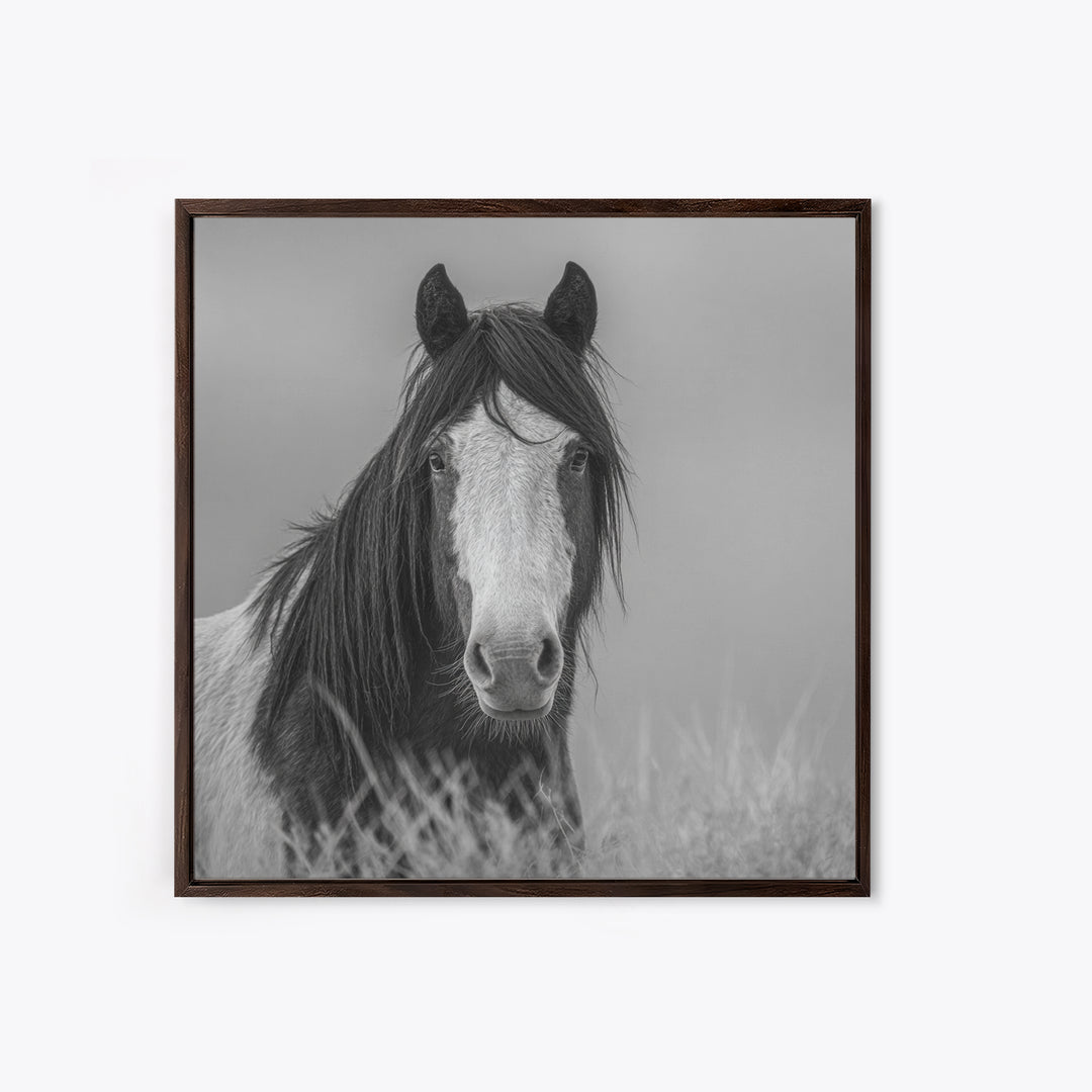 Black and White Wild Horse Portrait Canvas Print, Black and White Art, Fine Art Print, Living Room Decor, Oil Painting, BAW-1x1-5