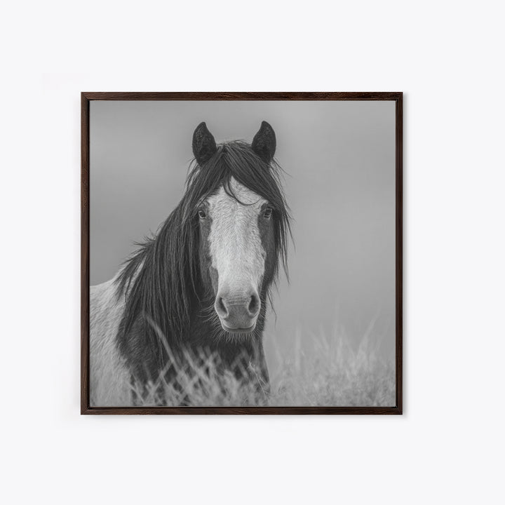 Black and White Wild Horse Portrait Canvas Print, Black and White Art, Fine Art Print, Living Room Decor, Oil Painting, BAW-1x1-5