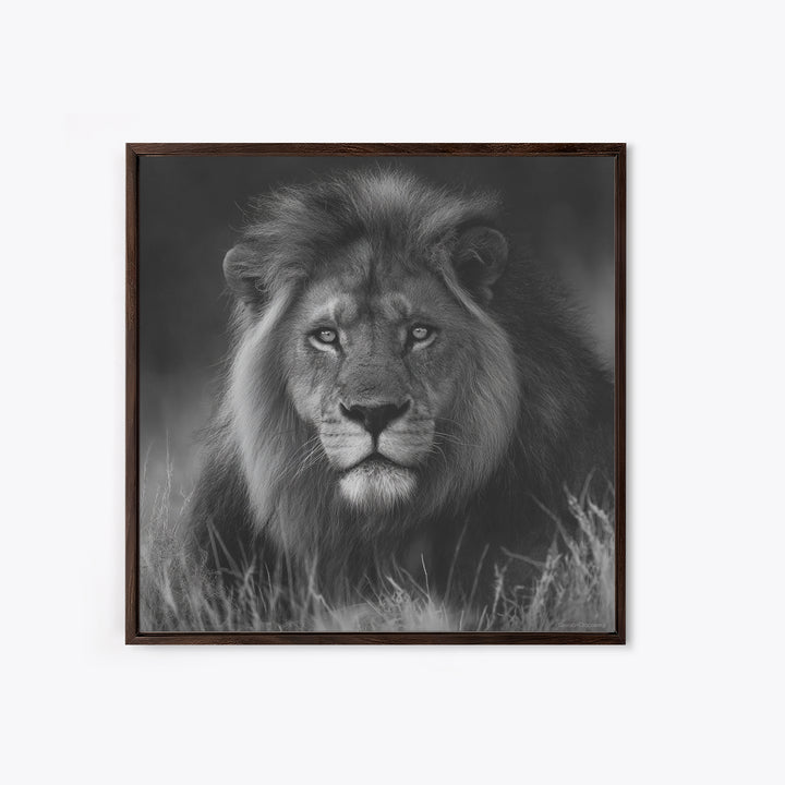 Dramatic Black and White Lion Portrait Canvas Print, Black and White Art, Contemporary Art, Living Room Decor, Monochrome, BAW-1x1-89