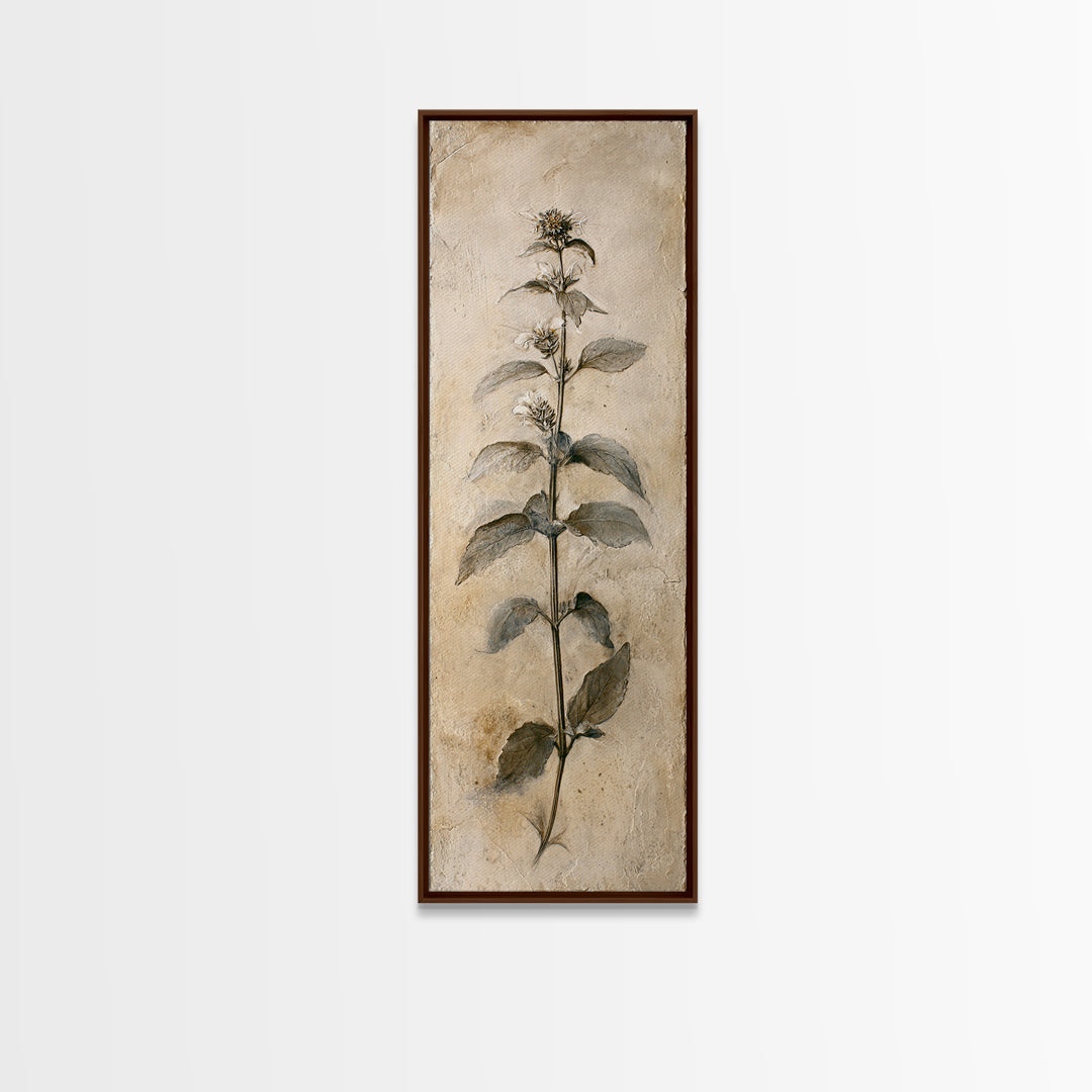 Black and White Botanical Specimen Plate Canvas Print, Black and White Art, Canvas Print, Living Room Decor, Oil Painting, BAW-1x3-59