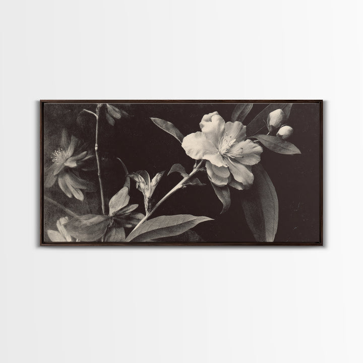 Black and White Botanical Specimen Plate Canvas Print, Black and White Art, Cabin Decor, Living Room Decor, Monochrome, BAW-2x1-19