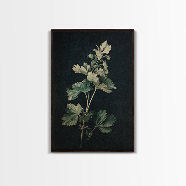 Black and White Botanical Specimen Plate Canvas Print, Black and White Art, Fine Art Print, Living Room Decor, Monochrome, BAW-2x3-7