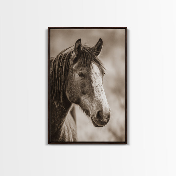 Black and White Wild Horse Portrait Framed Canvas Print, Black and White Art, Canvas Print, Living Room Decor, Monochrome, BAW-2x3-85