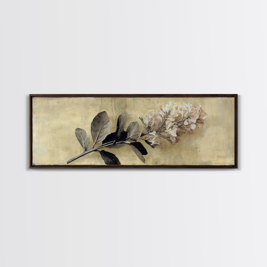 Black and White Botanical Specimen Plate Canvas Print, Black and White Art, Gallery Decor, Living Room Decor, Monochrome, BAW-3x1-15