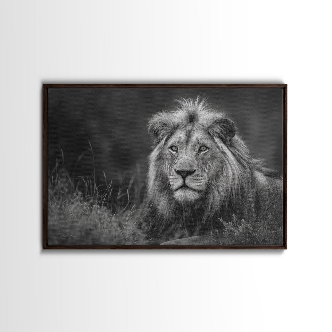Dramatic Black and White Lion Portrait Canvas Print, Black and White Art, Photography Prints, Living Room Decor, Monochrome, BAW-3x2-21