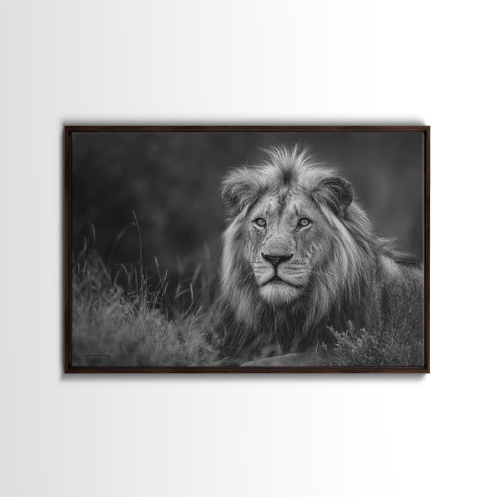 Dramatic Black and White Lion Portrait Canvas Print, Black and White Art, Photography Prints, Living Room Decor, Monochrome, BAW-3x2-21