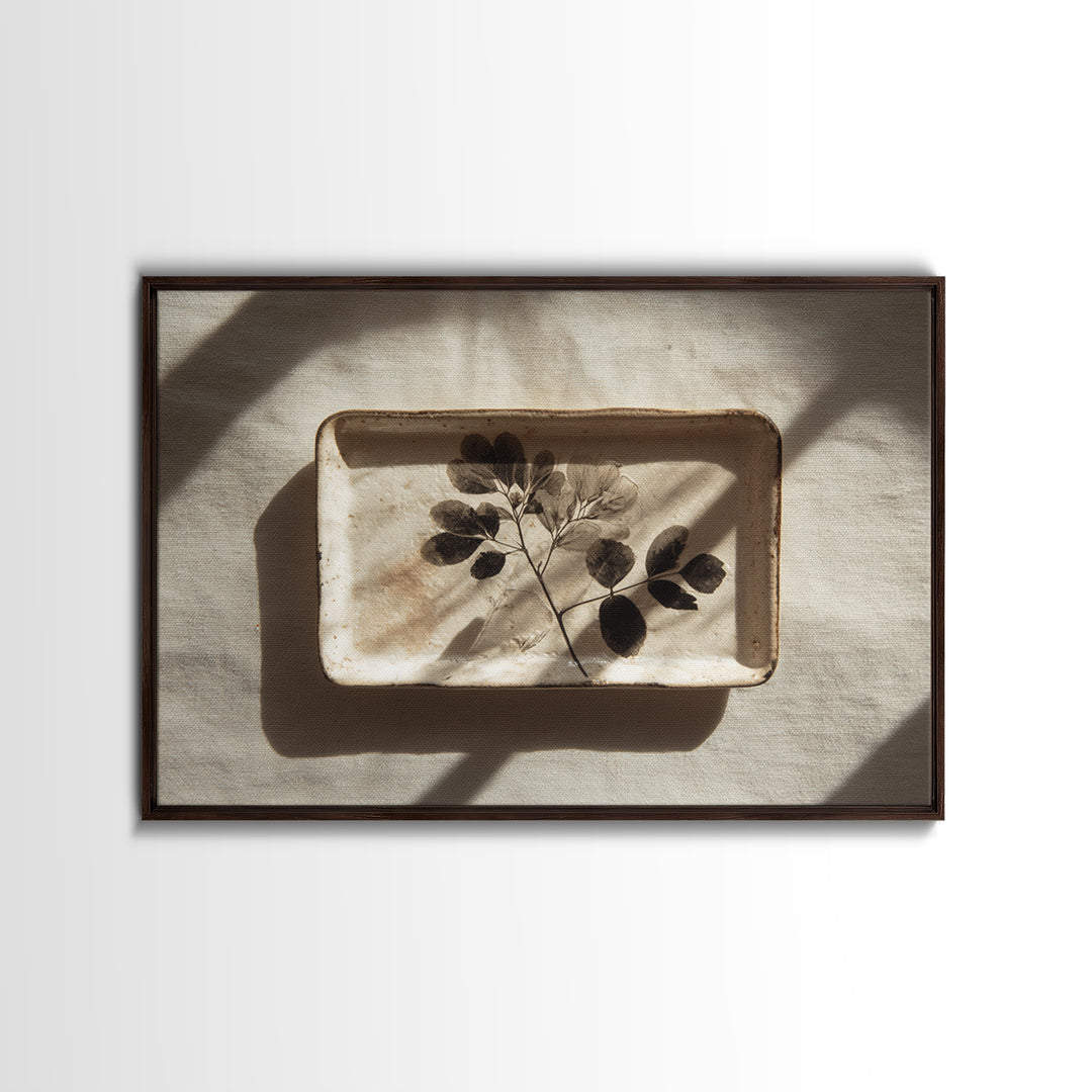 Black and White Botanical Specimen Plate Canvas Print, Black and White Art, Photography Prints, Living Room Decor, Monochrome, BAW-3x2-3
