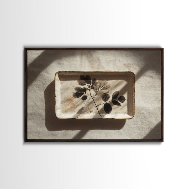 Black and White Botanical Specimen Plate Canvas Print, Black and White Art, Photography Prints, Living Room Decor, Monochrome, BAW-3x2-3