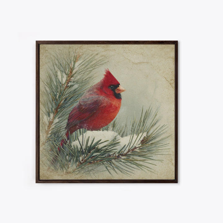 Red Cardinal on Snowy Pine Branch Framed Canvas Print, Bird Art, Nature Wall Art, Living Room Decor, Watercolor Art, Flight, BIR-1x1-1