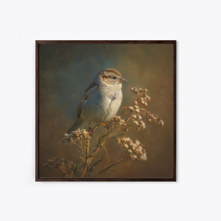 Small Sparrow on Wildflower Stem Canvas Print, Bird Art, Mid Century Wall Art, Living Room Decor, Flight, Fine Art Print, BIR-1x1-14