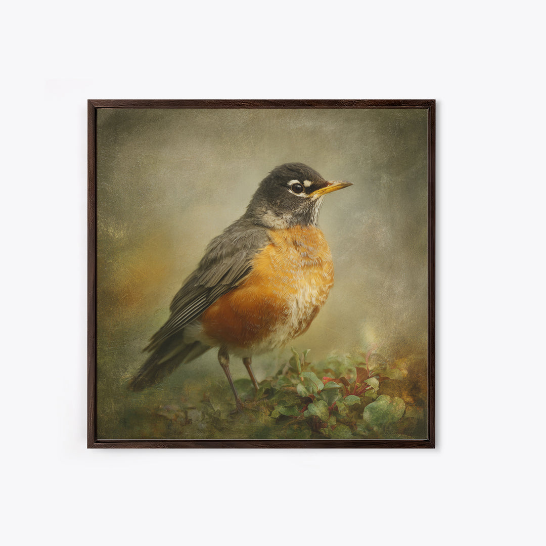 Robin in a Spring Garden with Soft Canvas Print, Bird Art, Japanese Wall Art, Living Room Decor, Watercolor Art, Flight, BIR-1x1-15