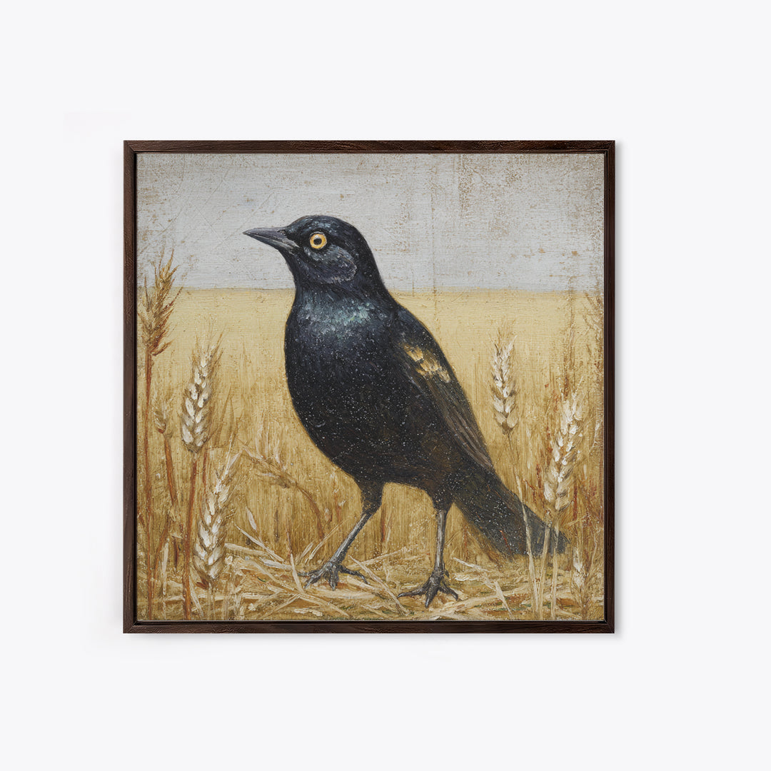 Blackbird on Gold Wheat Field Framed Canvas Print, Bird Art, Nature Prints, Living Room Decor, Watercolor Art, Flight, BIR-1x1-24