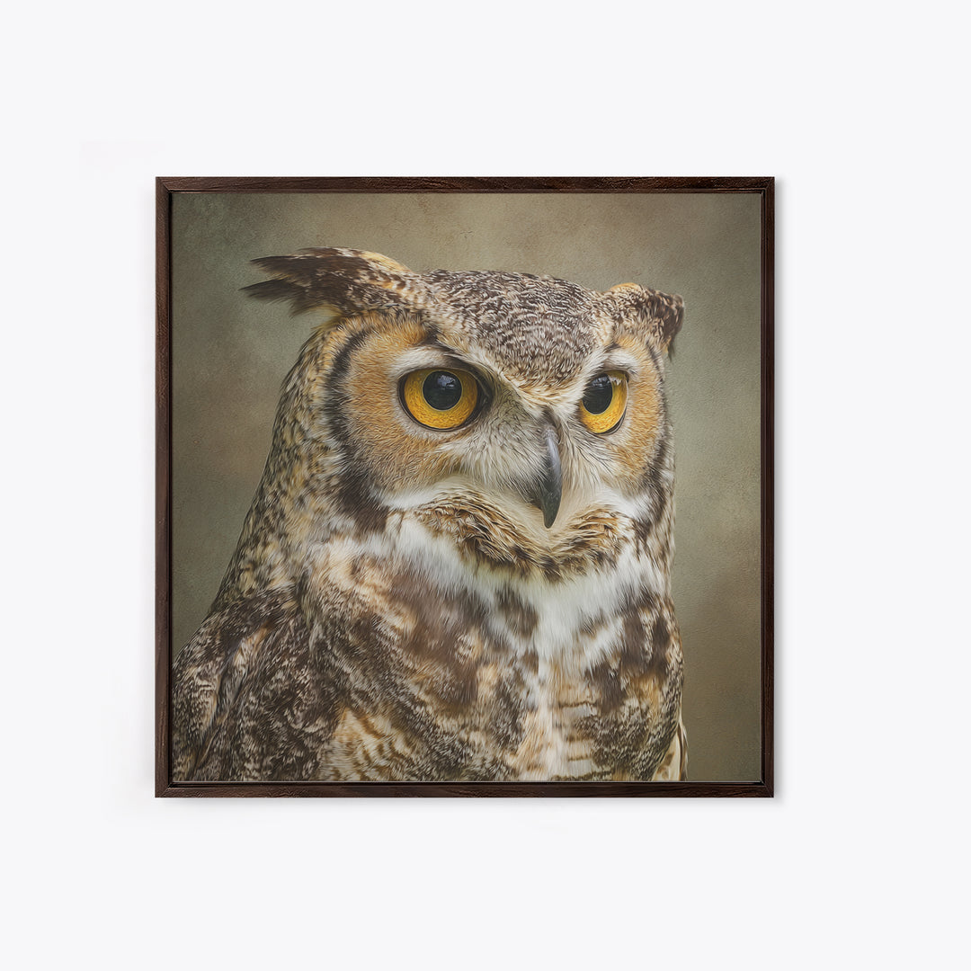 Owl Portrait with Wise Golden Eyes Framed Canvas Print, Bird Art, Fine Art Print, Living Room Decor, Fine Art, Flight, BIR-1x1-53
