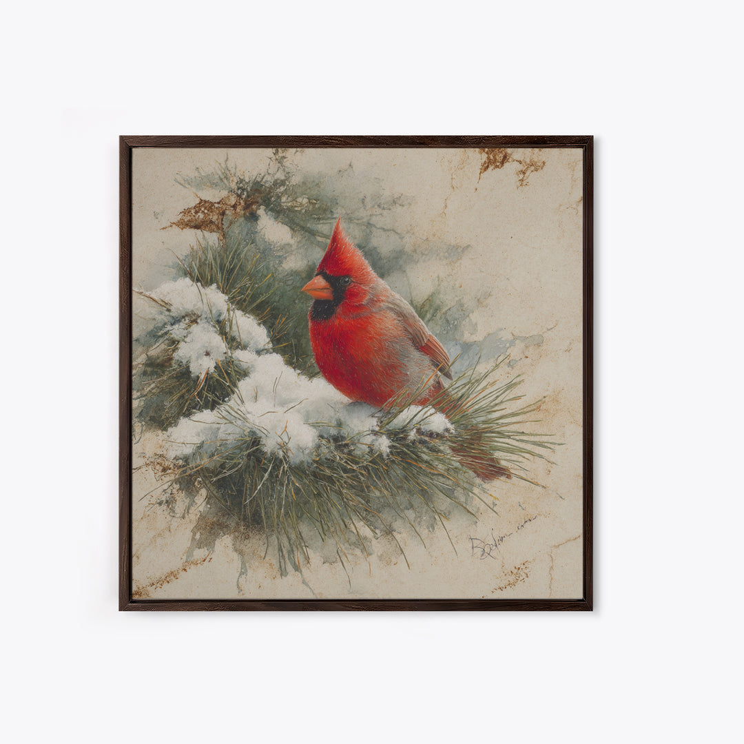 Red Cardinal on Snowy Pine Branch Framed Canvas Print, Bird Art, Art Print, Living Room Decor, Fine Art, Flight, Original Art, BIR-1x1-73