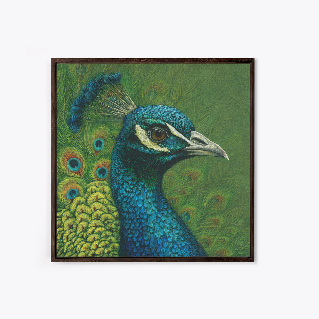 Peacock with Jewel Tone Feather Pattern Framed Canvas Print, Bird Art, Fine Art Print, Living Room Decor, Oil Painting, Flight, BIR-1x1-79