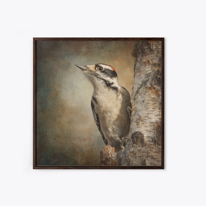 Woodpecker on Birch Bark Texture Framed Canvas Print, Bird Art, Luxury Decor, Living Room Decor, Oil Painting, Flight, BIR-1x1-93