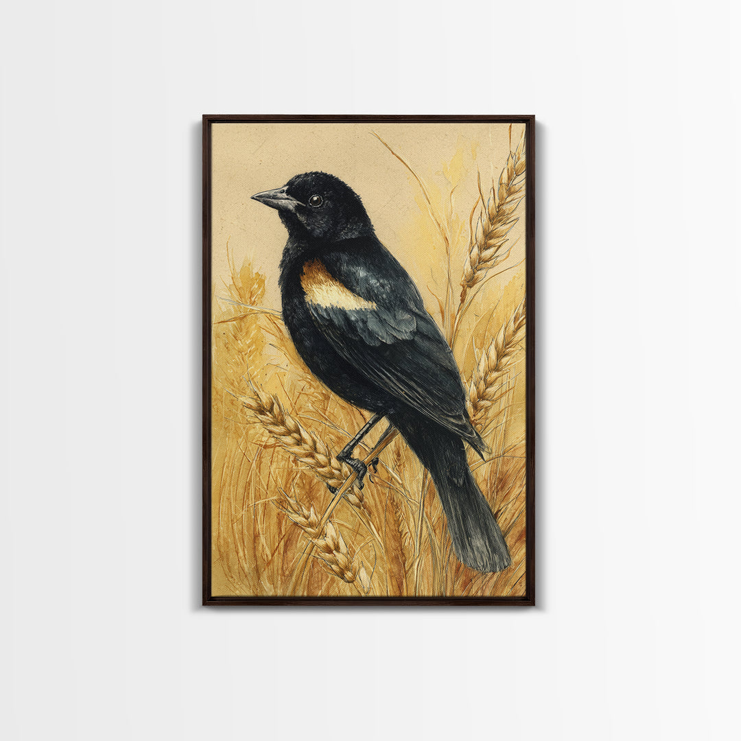 Blackbird on Gold Wheat Field Canvas Print, Bird Art, Bird Wall Art, Living Room Decor, Fine Art, Flight, Art Print, BIR-2x3-32
