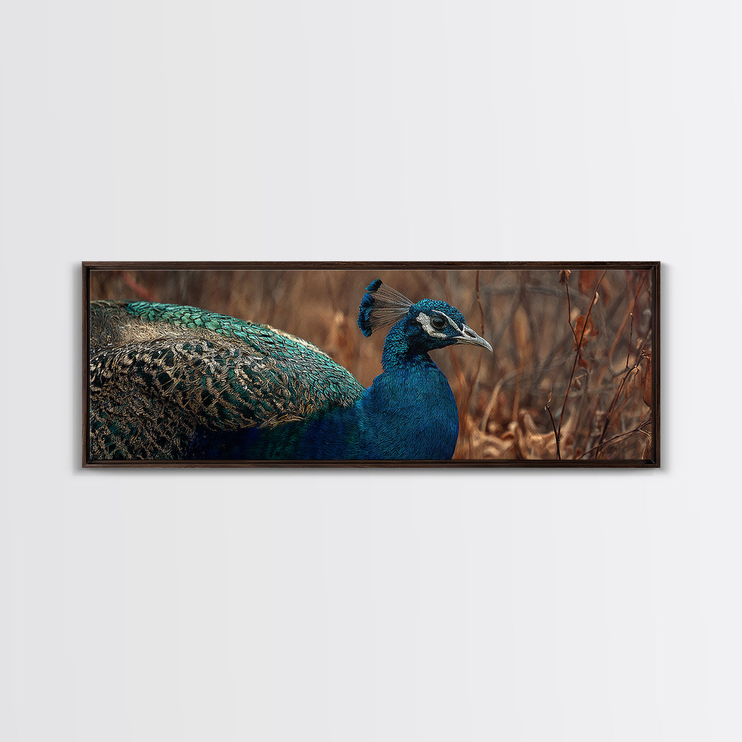 Peacock with Jewel Tone Feather Pattern Canvas Print, Bird Art, Printable Art, Living Room Decor, Flight, Mid Century Wall Art, BIR-3x1-71