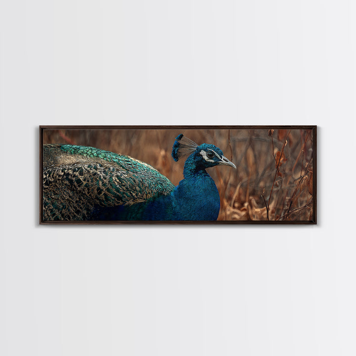 Peacock with Jewel Tone Feather Pattern Canvas Print, Bird Art, Printable Art, Living Room Decor, Flight, Mid Century Wall Art, BIR-3x1-71