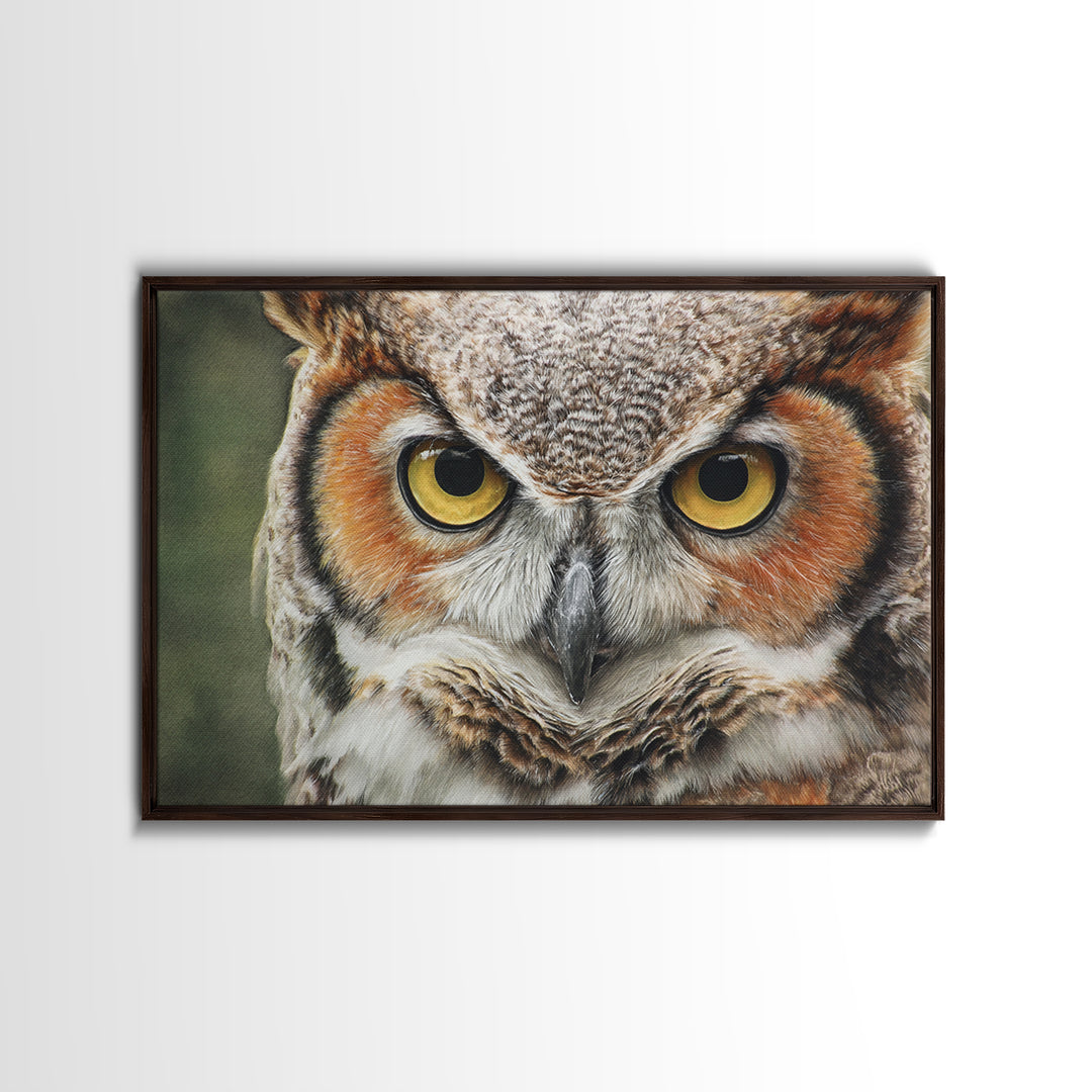 Owl Portrait with Wise Golden Eyes Canvas Print, Bird Art, Bird Prints, Living Room Decor, Fine Art, Flight, Modern Decor, BIR-3x2-33