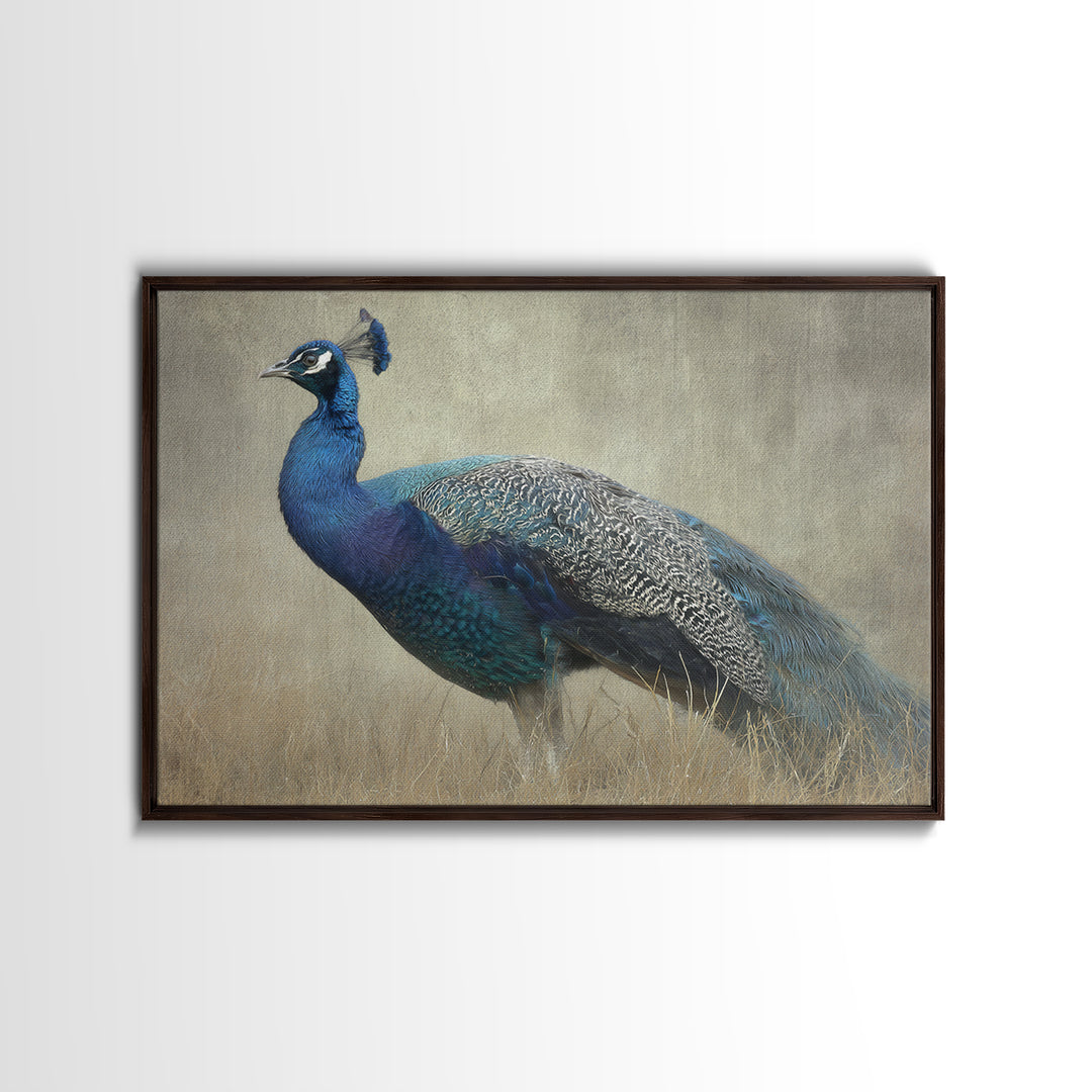 Peacock with Jewel Tone Feather Pattern Framed Canvas Print, Bird Art, Art Print, Living Room Decor, Oil Painting, Flight, BIR-3x2-59