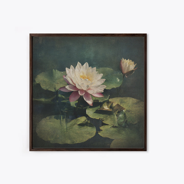 Lotus Flower and Lily Pads on Still Canvas Print, Botanical Art, Framed Wall Art, Living Room Decor, Fine Art, Botanic, BOT-1x1-19