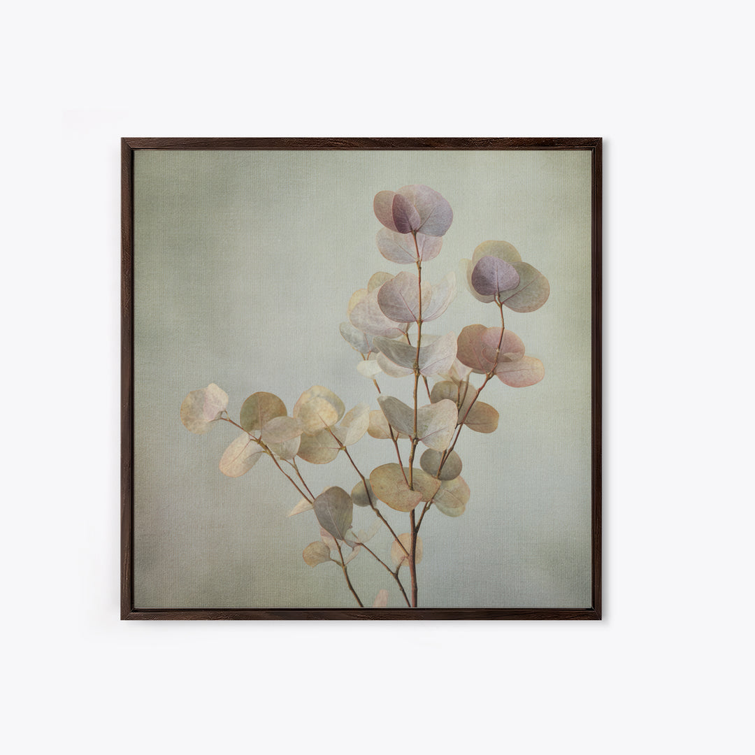 Eucalyptus Stems in Soft Sage Tones Canvas Print, Botanical Art, Gallery Decor, Living Room Decor, Fine Art, Botanic, BOT-1x1-59