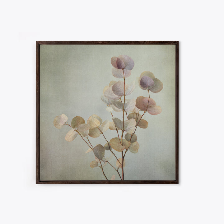 Eucalyptus Stems in Soft Sage Tones Canvas Print, Botanical Art, Gallery Decor, Living Room Decor, Fine Art, Botanic, BOT-1x1-59