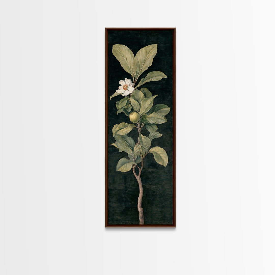 Fig Branch with Fruit and Broad Leaves Canvas Print, Botanical Art, Modern Wall Art, Living Room Decor, Fine Art, Botanic, BOT-1x3-51