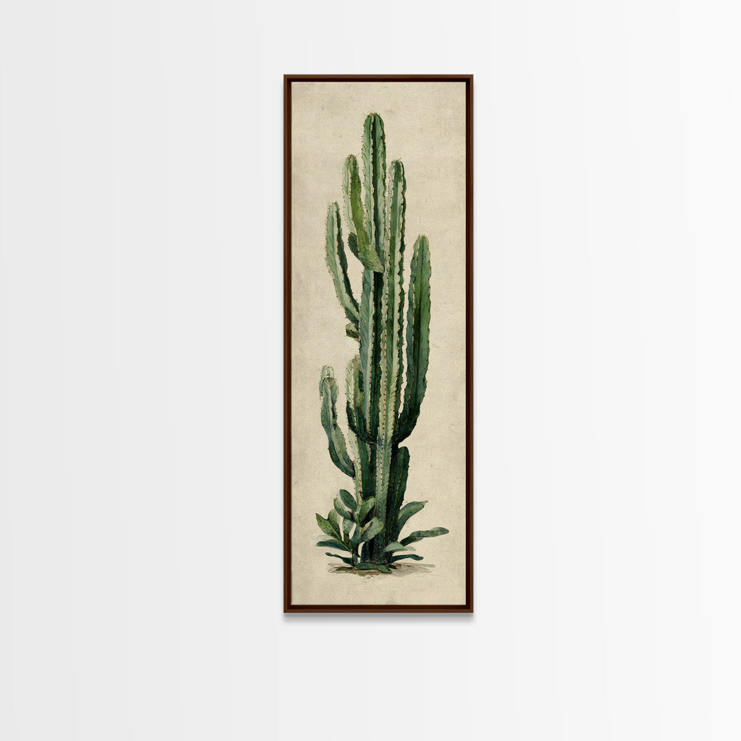 Cactus Botanical Plate Canvas Print, Botanical Art, Digital Wall Art, Living Room Decor, Oil Painting, Botanic, BOT-1x3-73