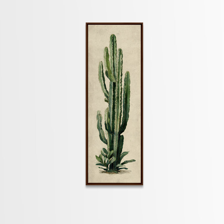 Cactus Botanical Plate Canvas Print, Botanical Art, Digital Wall Art, Living Room Decor, Oil Painting, Botanic, BOT-1x3-73