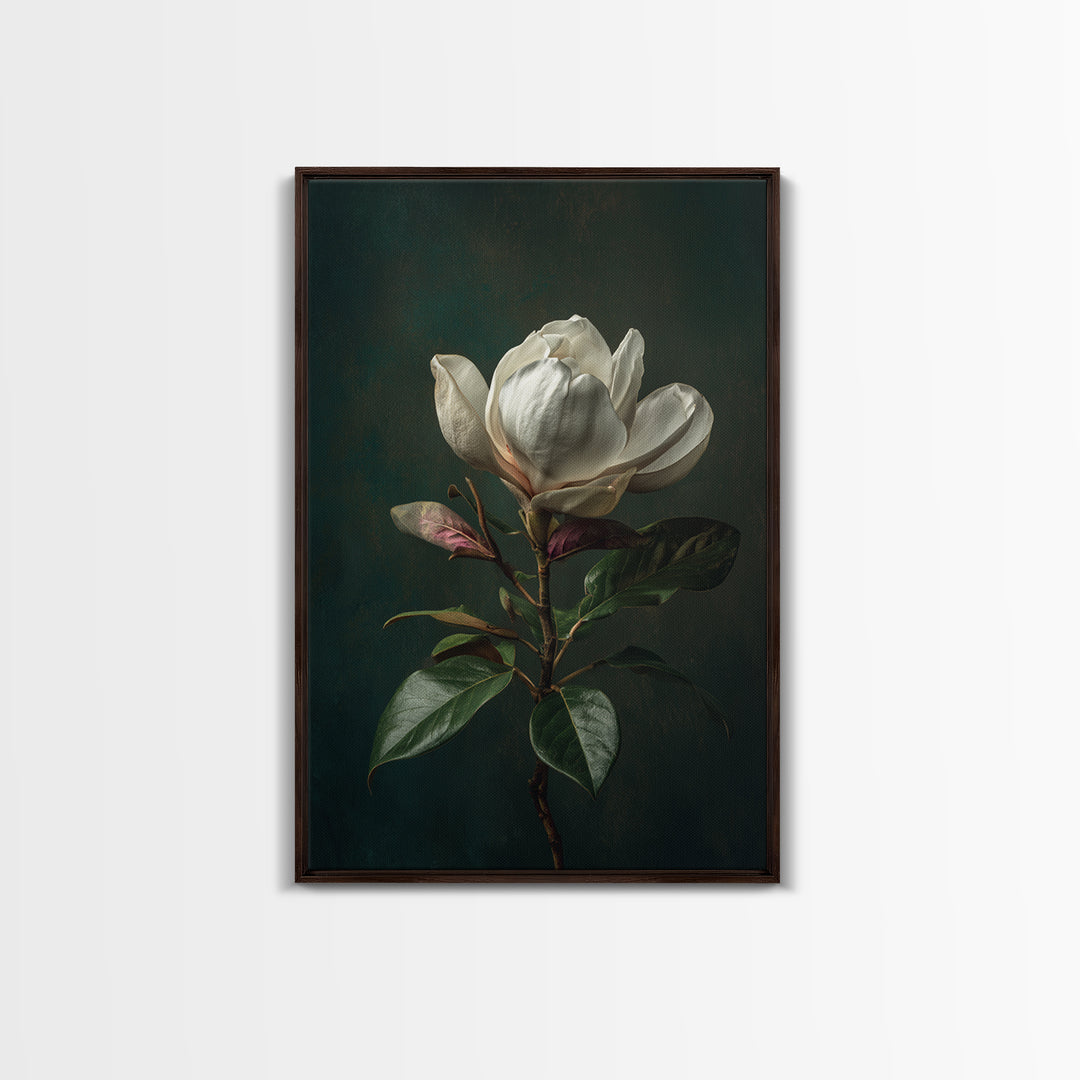 Dramatic White Magnolia on Dark Background Canvas Print, Botanical Art, Wall Art, Living Room Decor, Watercolor Art, Botanic, BOT-2x3-14