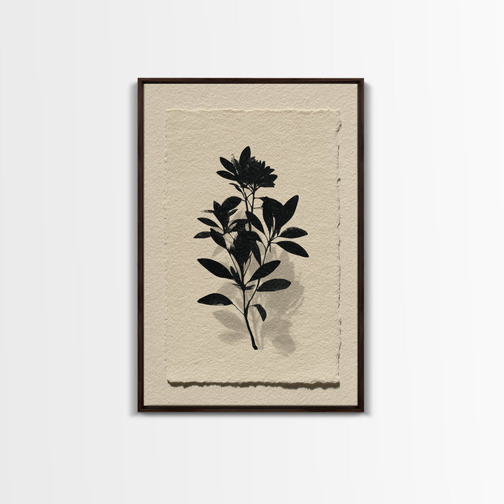 Black Ink Botanical Silhouette on Cream Paper Canvas Print, Botanical Art, Living Room Decor, Watercolor Art, Botanic, BOT-2x3-29