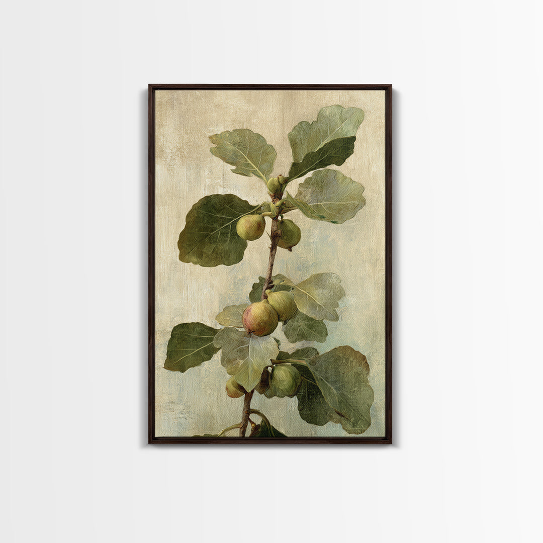 Fig Branch with Fruit and Broad Leaves Framed Canvas Print, Botanical Art, Oil Painting, Living Room Decor, Fine Art, Botanic, BOT-2x3-47