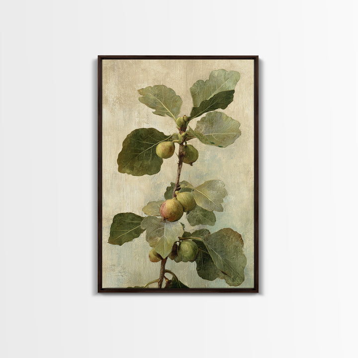 Fig Branch with Fruit and Broad Leaves Framed Canvas Print, Botanical Art, Oil Painting, Living Room Decor, Fine Art, Botanic, BOT-2x3-47