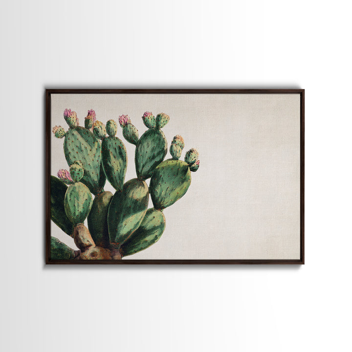 Cactus Botanical Plate Framed Canvas Print, Botanical Art, Living Room Wall Art, Living Room Decor, Fine Art, Botanic, BOT-3x2-65