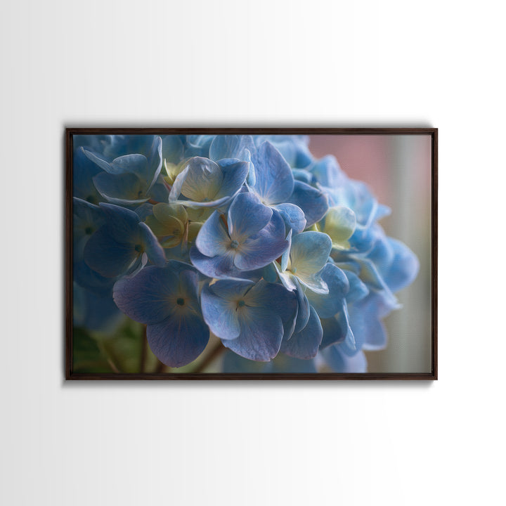 Blue Hydrangea Cluster Canvas Print, Botanical Art, Modern Wall Art, Living Room Decor, Fine Art, Botanic, Textured Painting, BOT-3x2-94
