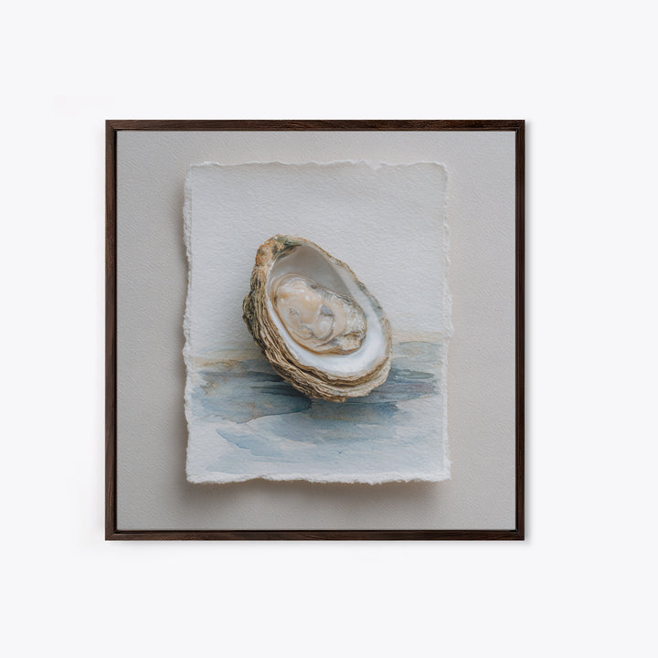Oyster Shell Study Framed Canvas Print, Coastal Art, Beach Art, Coastal Decor, Oil Painting, Coastal, Room Decor, COA-1x1-51