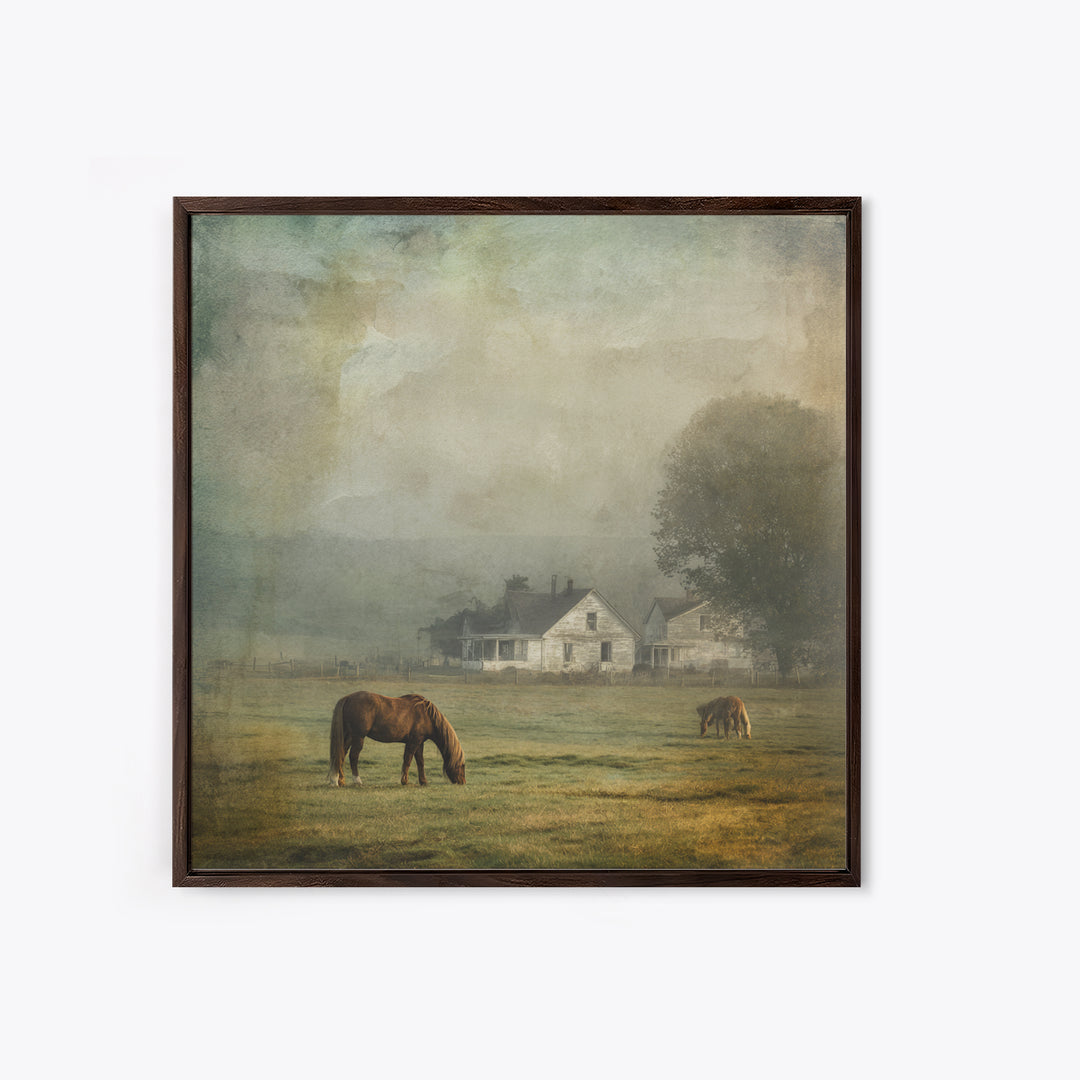 Rolling Pasture with Grazing Horses at Sunrise Framed Canvas Print, Country Art, Farmhouse Wall Art, Farmhouse Decor, Country, COU-1x1-1