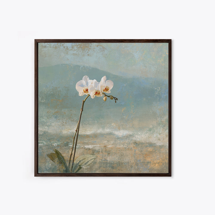 White Orchid on Stone Background Canvas Print, Dental Office Art, Dental Decor, Office Decor, Fine Art, Calm, Wall Decor, DOA-1x1-60