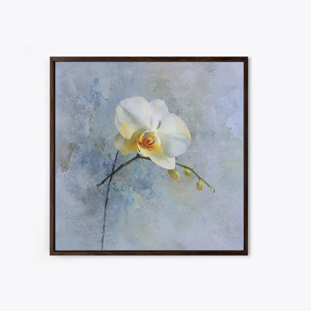 White Orchid on Stone Background Framed Canvas Print, Dental Office Art, Dental Gift, Office Decor, Abstract Art, Calm, DOA-1x1-84