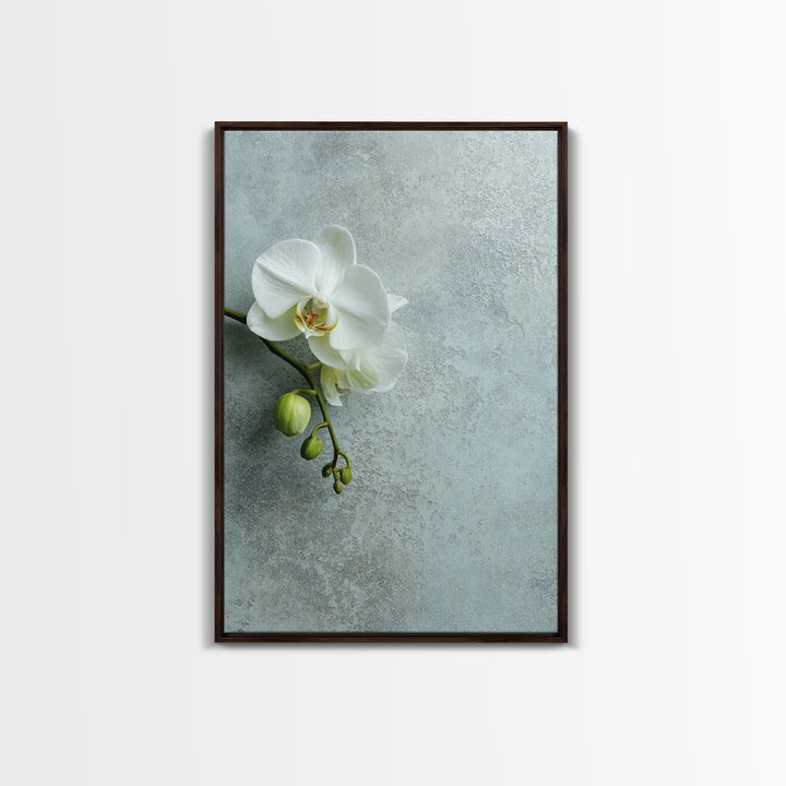 White Orchid on Stone Background Framed Canvas Print, Dental Office Art, Modern Decor, Office Decor, Fine Art, Calm, Poster, DOA-2x3-68