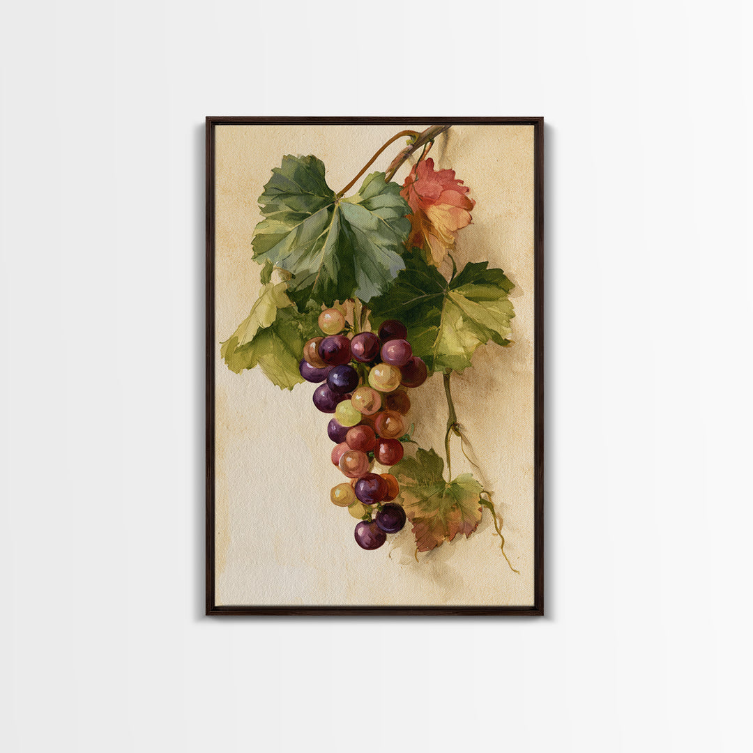 Botanical Grapevine with Leaves and Fruit Canvas Print, Dining Room Art, Large Wall Art, Dining Room Decor, Fine Art, Dining, DRA-2x3-77